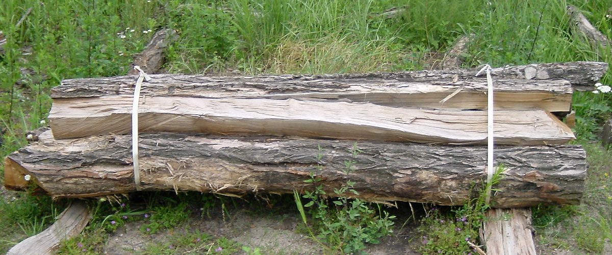 Bannerbild